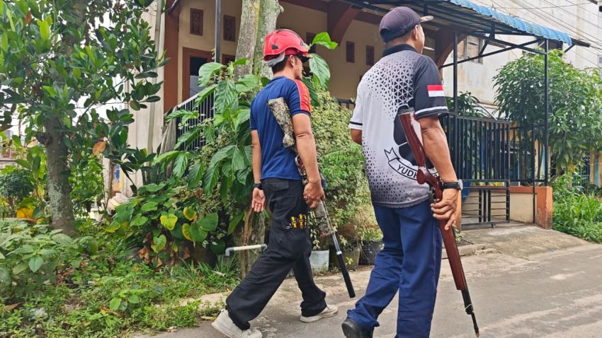 Delapan Warga Jadi Korban Gigitan Monyet Liar, Damkar Inhil Turunkan 15 Personel Lakukan Pencarian