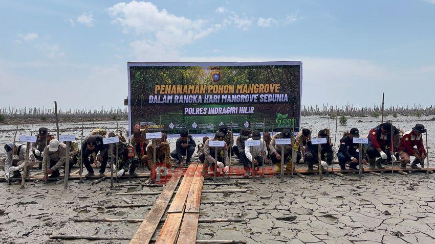 Polsek Kateman Tanam 200 Bibit Mangrove Peringati Hari Mangrove Sedunia 2026