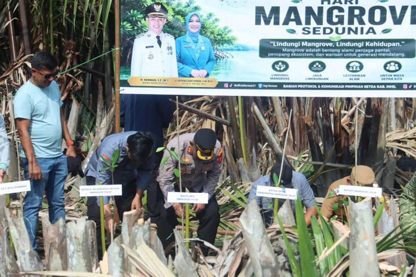 Polres Inhil Bersama Forkopimda Tanam 5.000 Bibit Mangrove Serentak dan di 21 Polsek Jajaran Peringati Hari Mangrove Sedunia