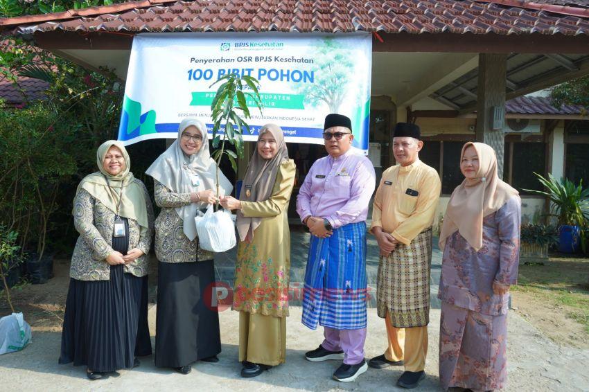 Wabup Yuliantini Terima 100 Bibit Pohon dari BPJS Kesehatan, Perkuat Penghijauan di Inhil