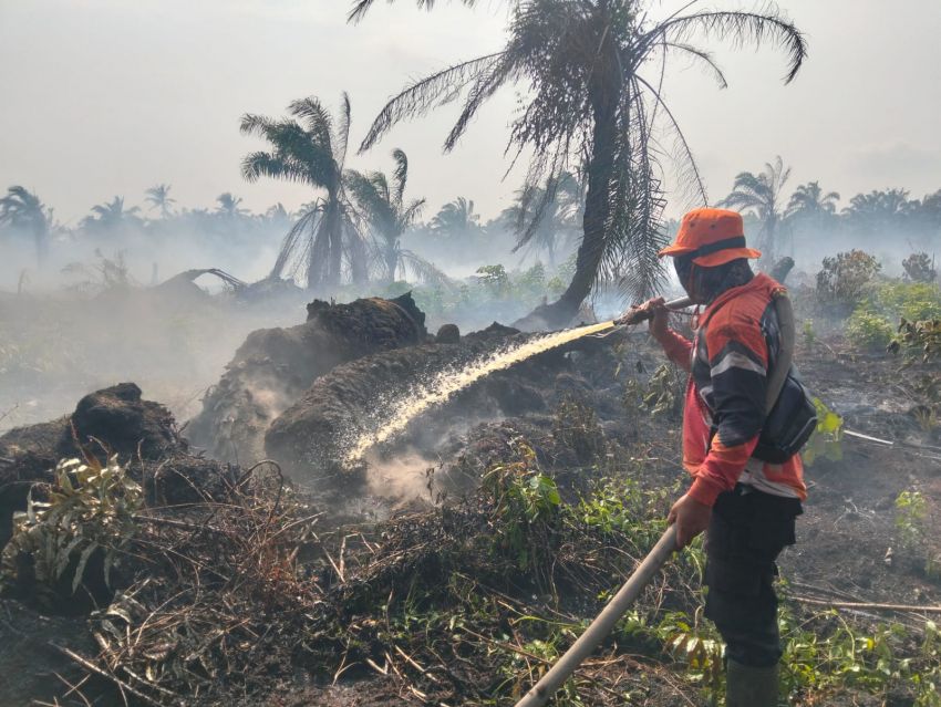 BPBD Kabupaten Indragiri Hilir Catat 80 Titik Hotspot di 9 Kecamatan