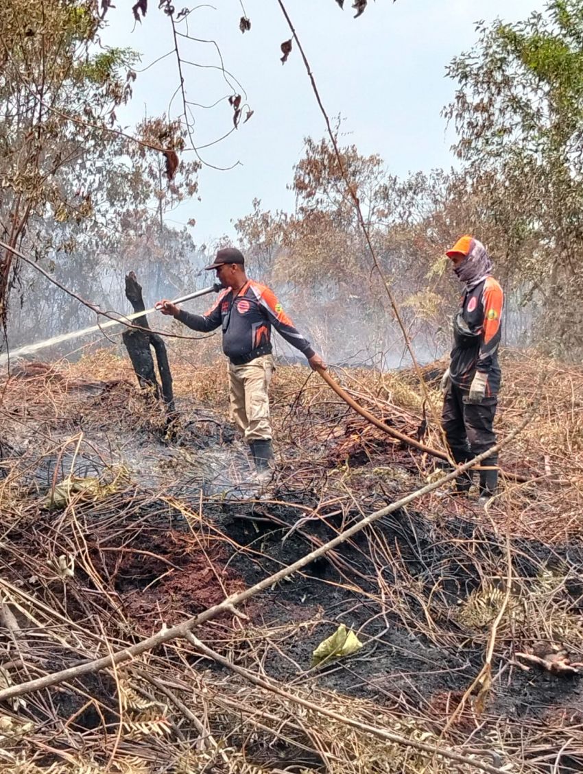Tim Gabungan Terus Lakukan Pemadaman Karhutla di Dua Lokasi di Inhil