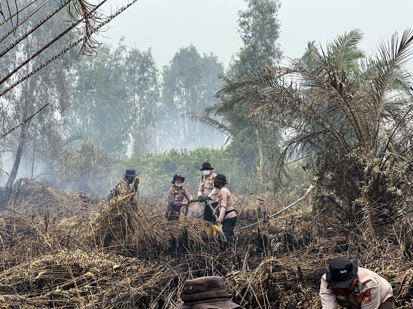 Karhutla di Dayun Siak, Water Bombing dan Alat Berat Dikerahkan